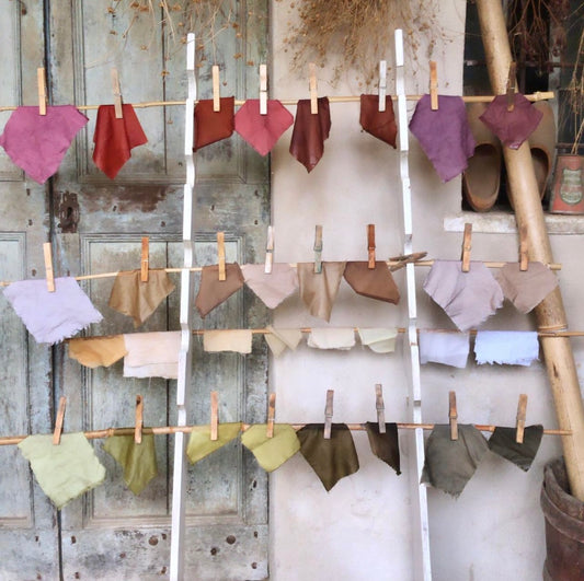 Natural Dyes with Alum and Iron Mordants