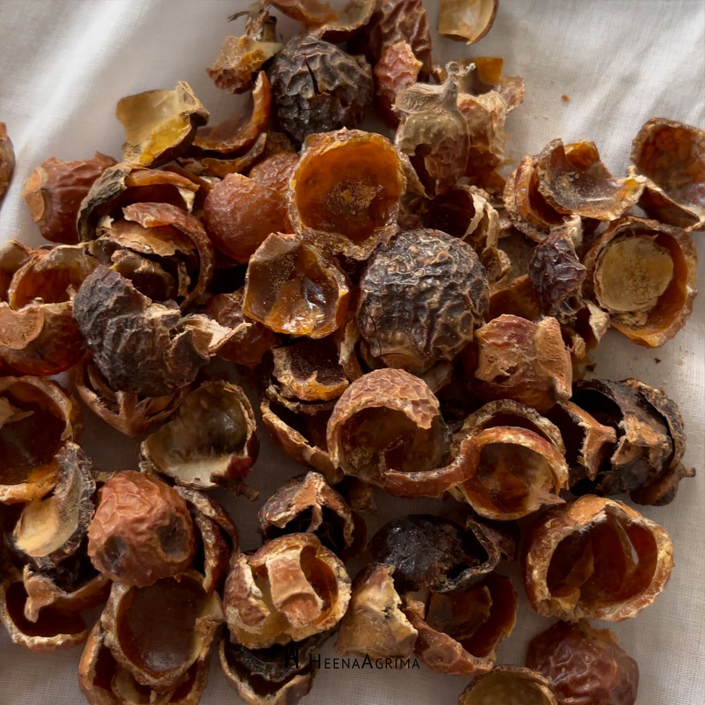 Natural Dyeing Workshop