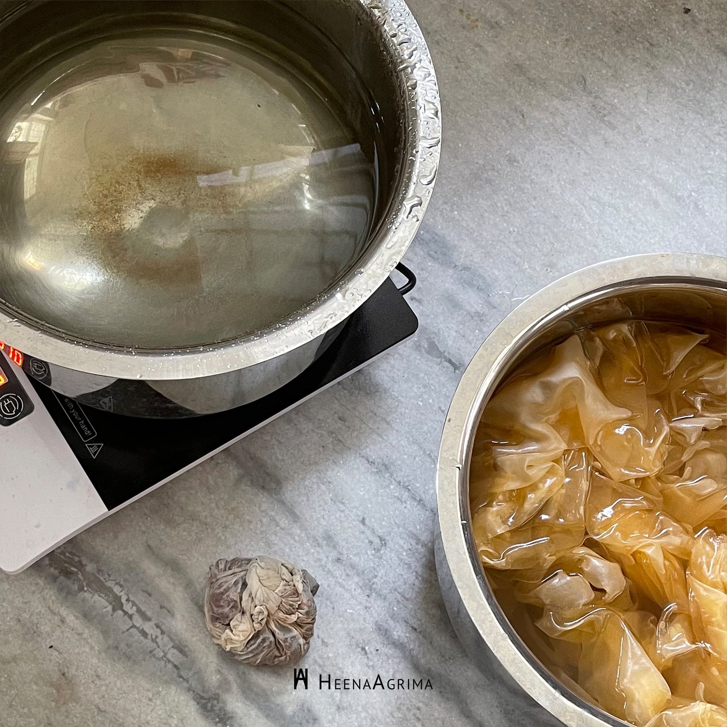 Natural Dyeing Workshop