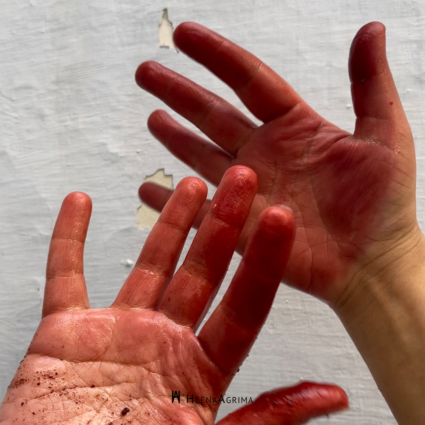 Natural Dyeing Workshop