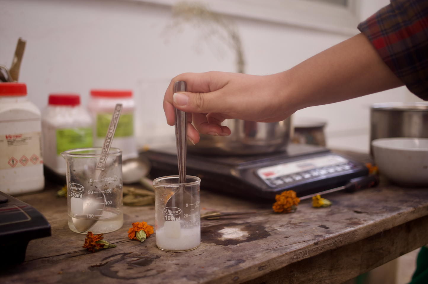 Natural Dyeing & Textile Course LIVE