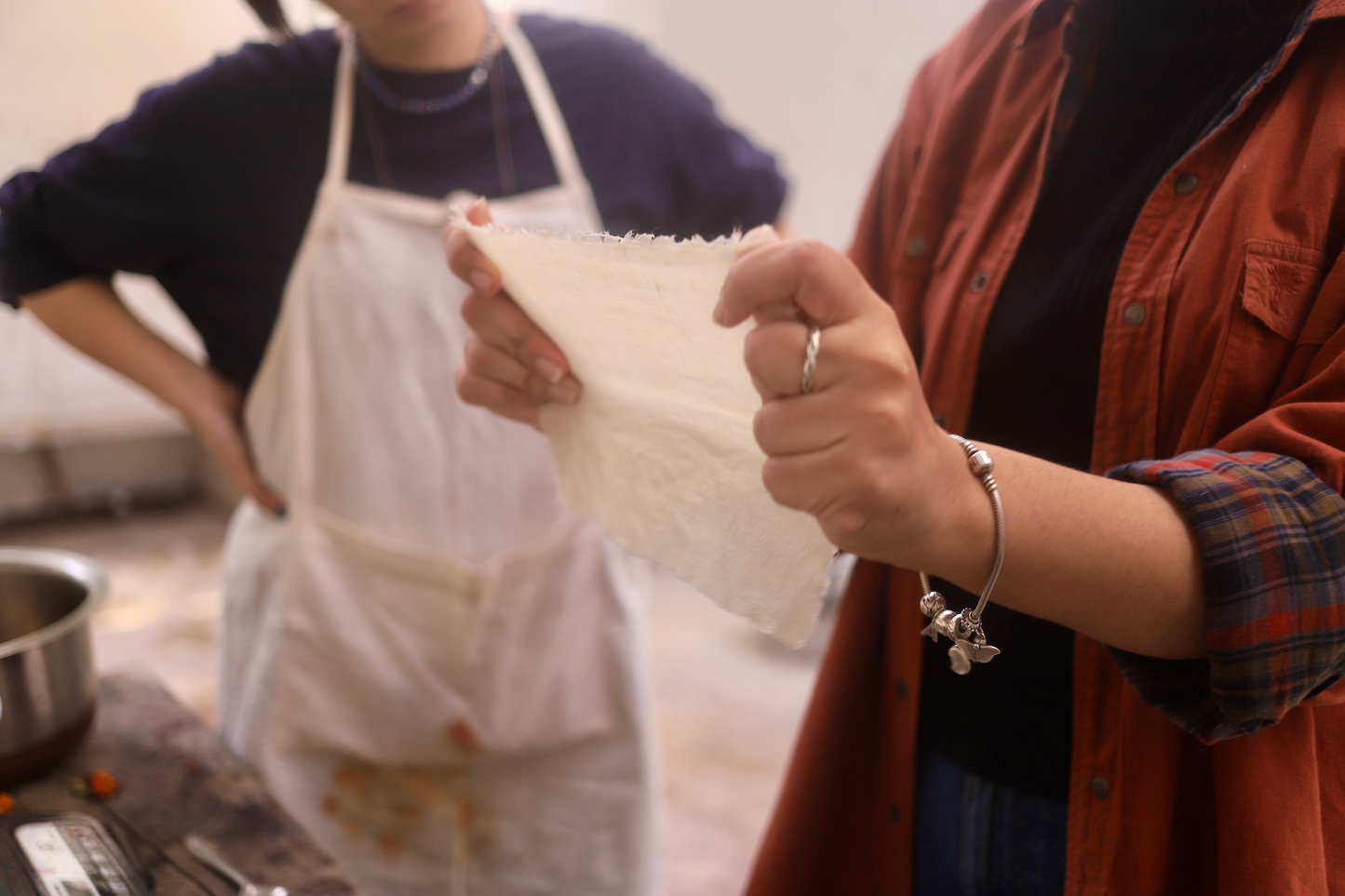 Natural Dyeing & Textile Course LIVE
