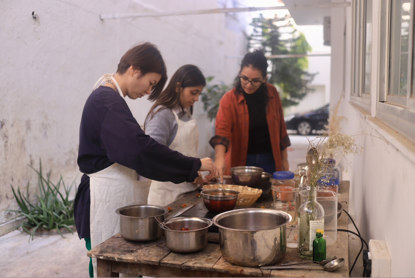Natural Dyeing & Textile Course LIVE