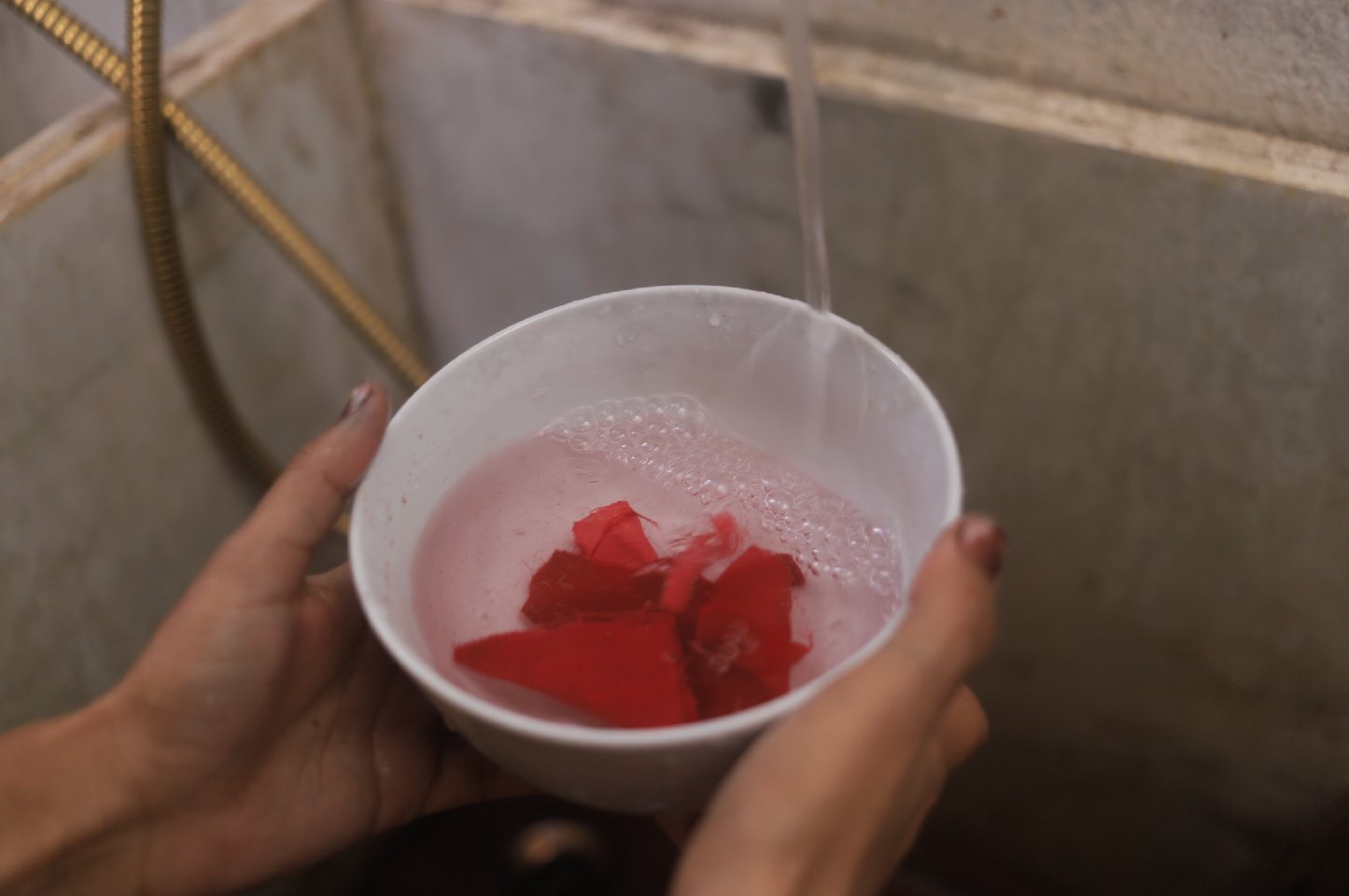 Natural Dyeing & Textile Course LIVE